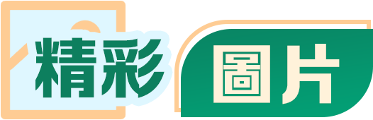 精彩圖片